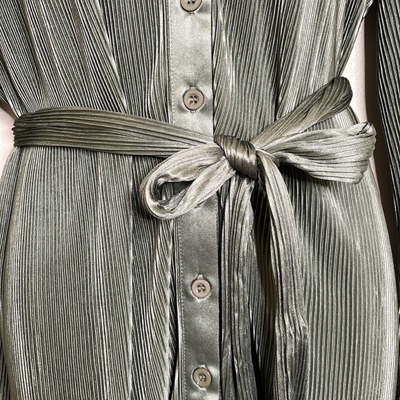 Mable Olive Branch Plisse Pleated Mini Shirt Belted Shirt Dress Size Medium NWT - Picture 7 of 15